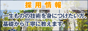採用情報
